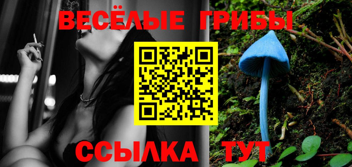 Надым  Галлюциногенные грибы Psilocybe  Вход с VPN 