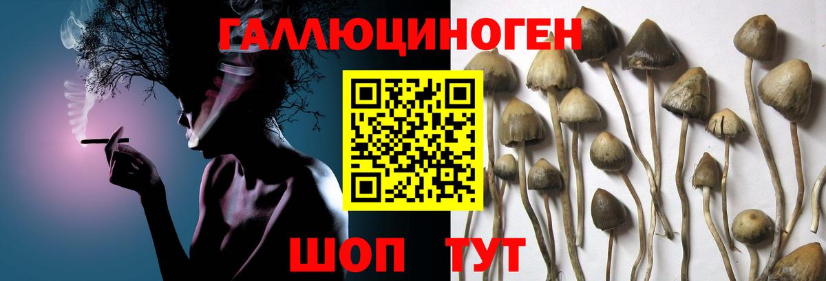 Псилоцибиновые грибы ЛСД Надым